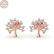 Load image into Gallery viewer, Silver Earrings For Girls and Women Silver Earring
