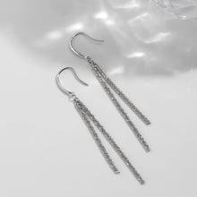 Load image into Gallery viewer, Silver Earrings for Girls and Women Silver Earring
