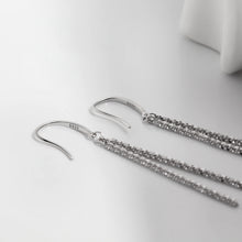 Load image into Gallery viewer, Silver Earrings for Girls and Women Silver Earring
